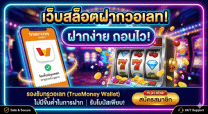 เว็บสล็อต ฝากวอเลท เล่นง่าย ฝากไว ถอนเร็ว ระบบใหม่ 2026 🎰💸